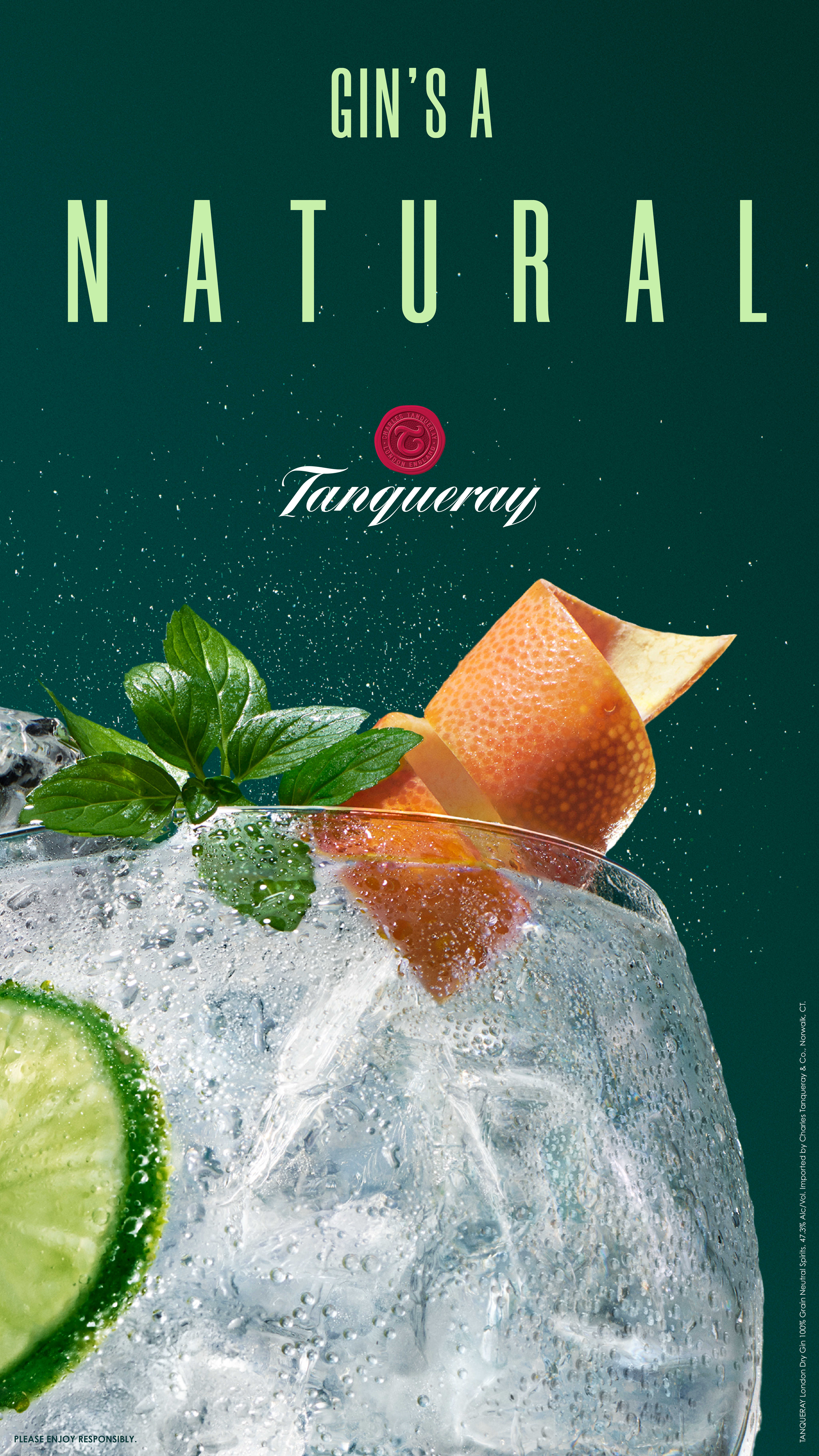 TANQUERAY_F20_NY_CITYBRIDGE_25x47.5_v03_4